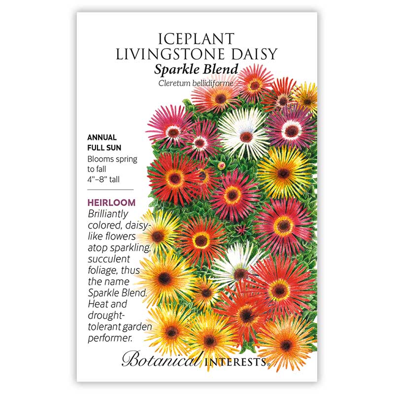 planting livingstone daisy seeds Sparkle Blend Iceplant (Livingstone Daisy) Seeds