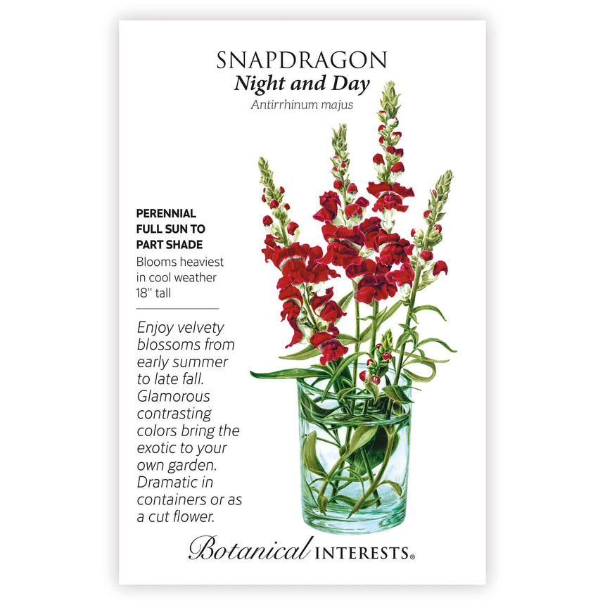 plant seeds at night Night and Day Snapdragon Seeds – Botanical Interests