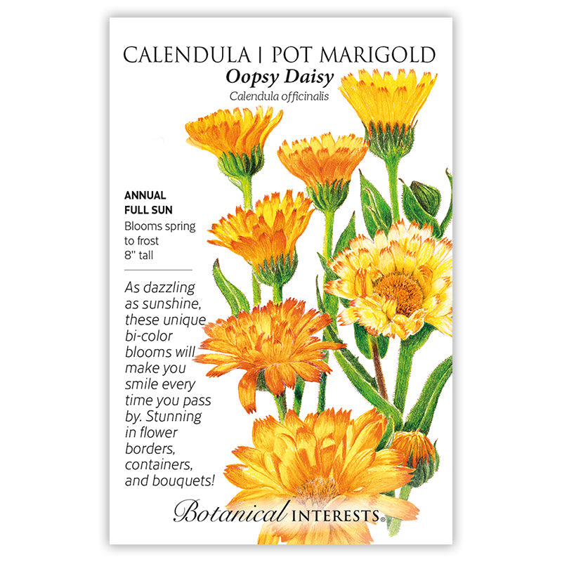 Oopsy Daisy Calendula (Pot Marigold) Seeds