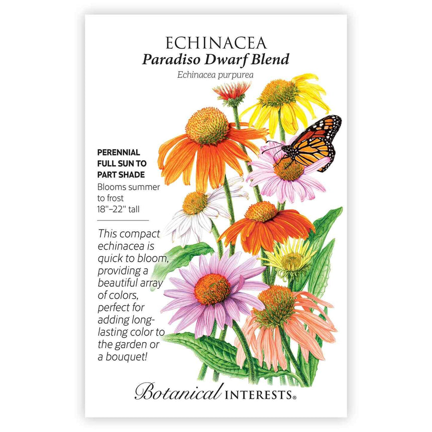 planting echinacea seeds Paradiso Dwarf Blend Echinacea Seeds – Botanical Interests
