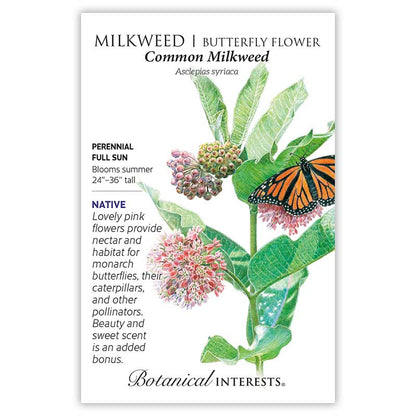 Common Milkweed/Butterfly Flower Seeds