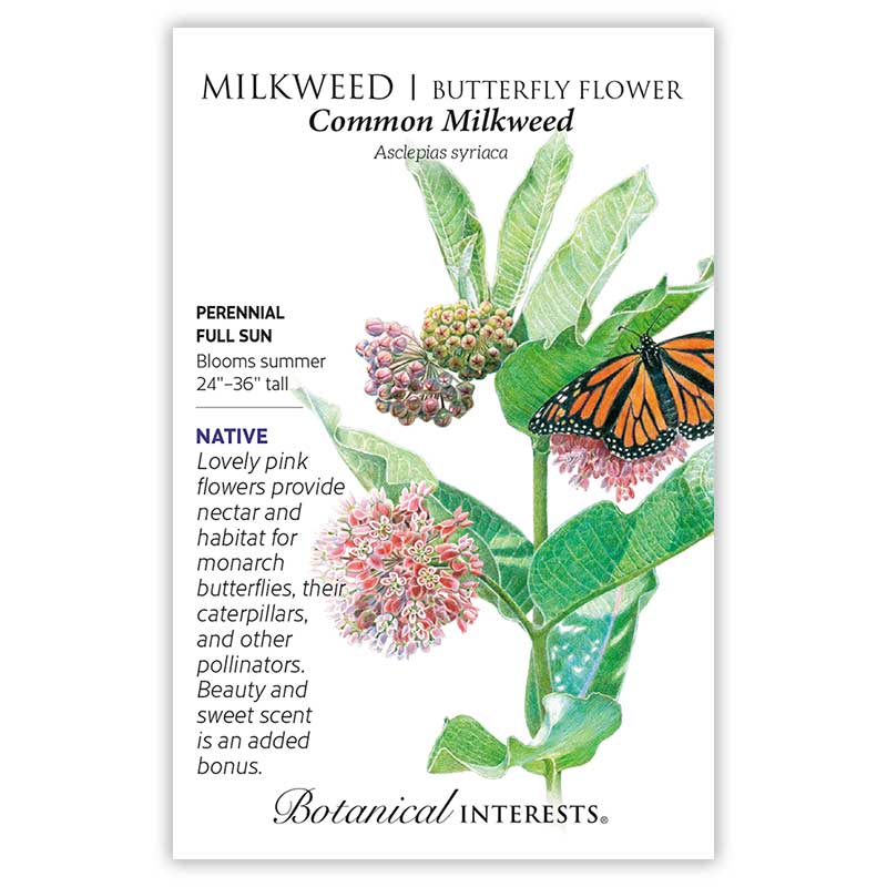 Midwest Flutter Butterfly Gift Set
