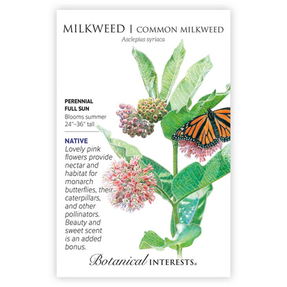 Common Milkweed/Butterfly Flower Seeds