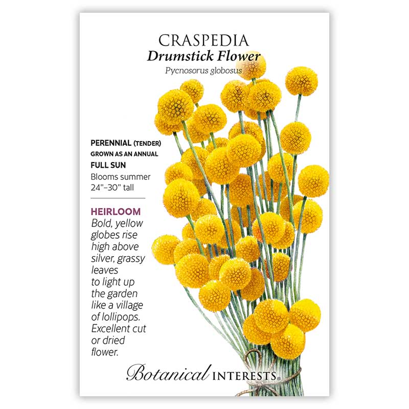 Cut Flower Garden Seed Bundle