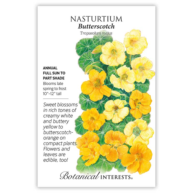 Butterscotch Nasturtium Seeds