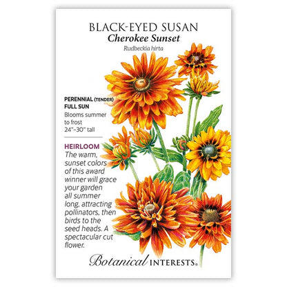 Cherokee Sunset Black-Eyed Susan Seeds