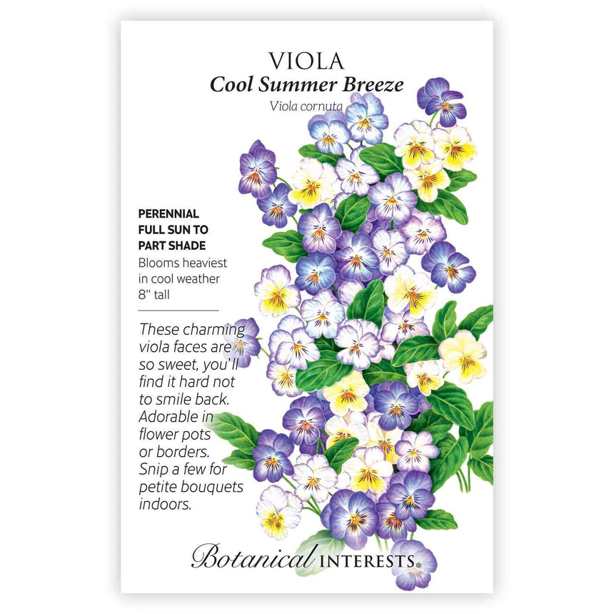 viola seeds from plant Cool Summer Breeze Viola Seeds – Botanical Interests
