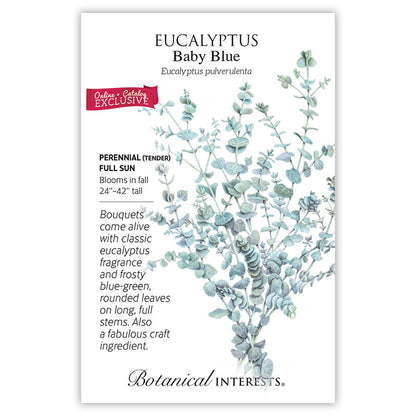 Baby Blue Eucalyptus Seeds