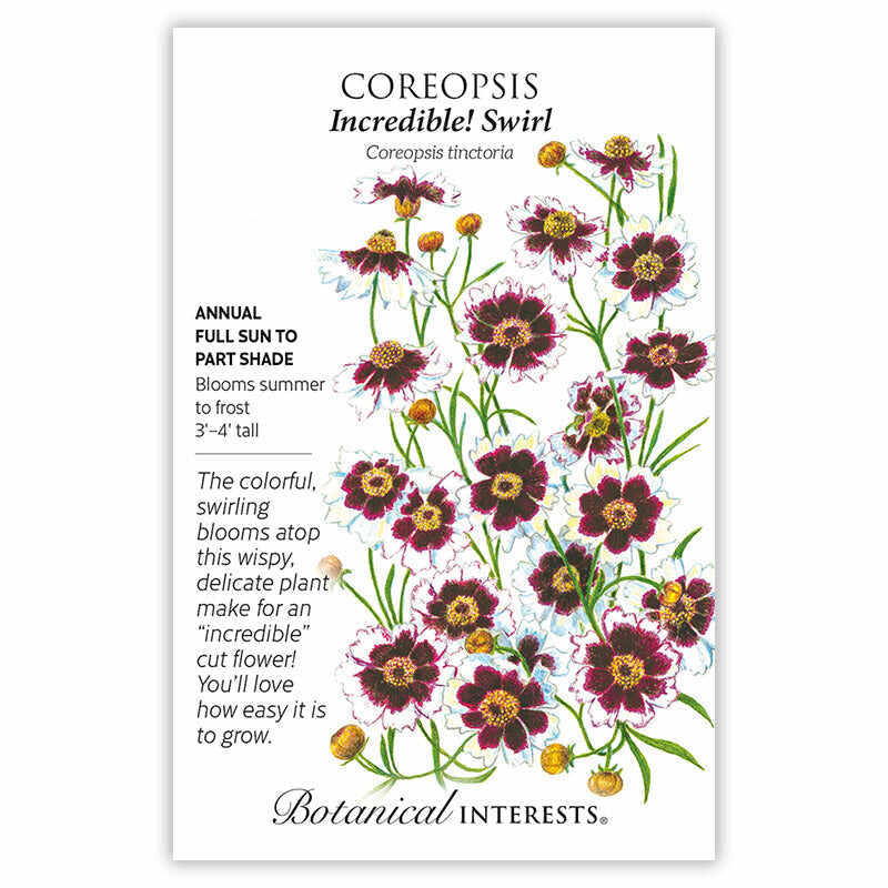 coreopsis flower seeds Incredible! Swirl Coreopsis Seeds – Botanical Interests