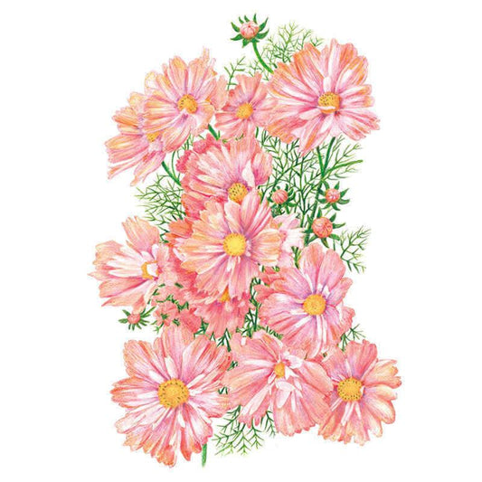 Apricotta Cosmos Seeds