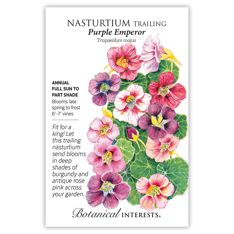 Purple Emperor Trailing Nasturtium Seeds