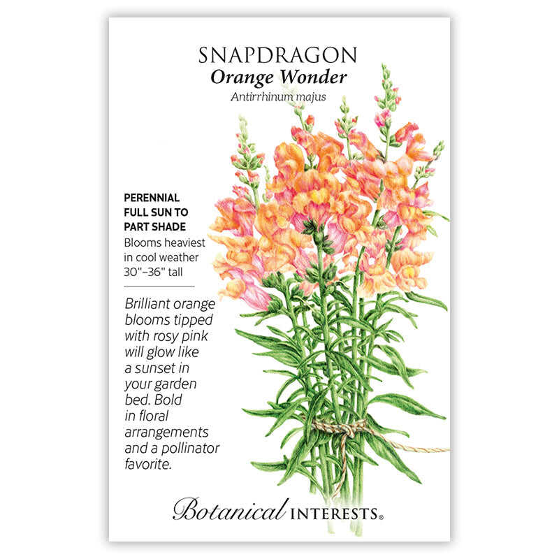 plant snapdragon seeds Orange Wonder Snapdragon Seeds