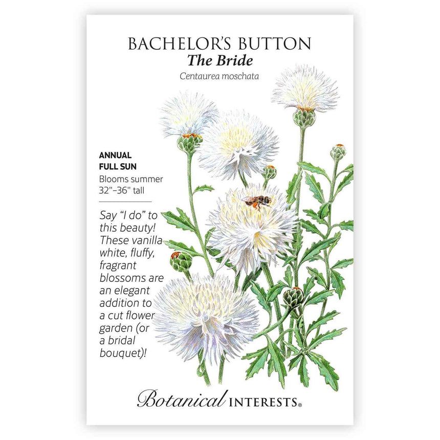 plant a seed bored button The Bride Bachelor's Button Seeds