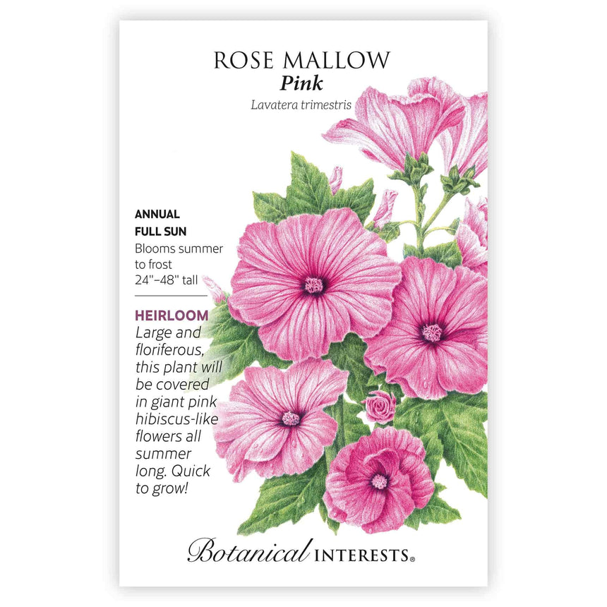 pink rose seeds Pink Rose Mallow Seeds