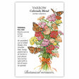 Bridal Bouquet