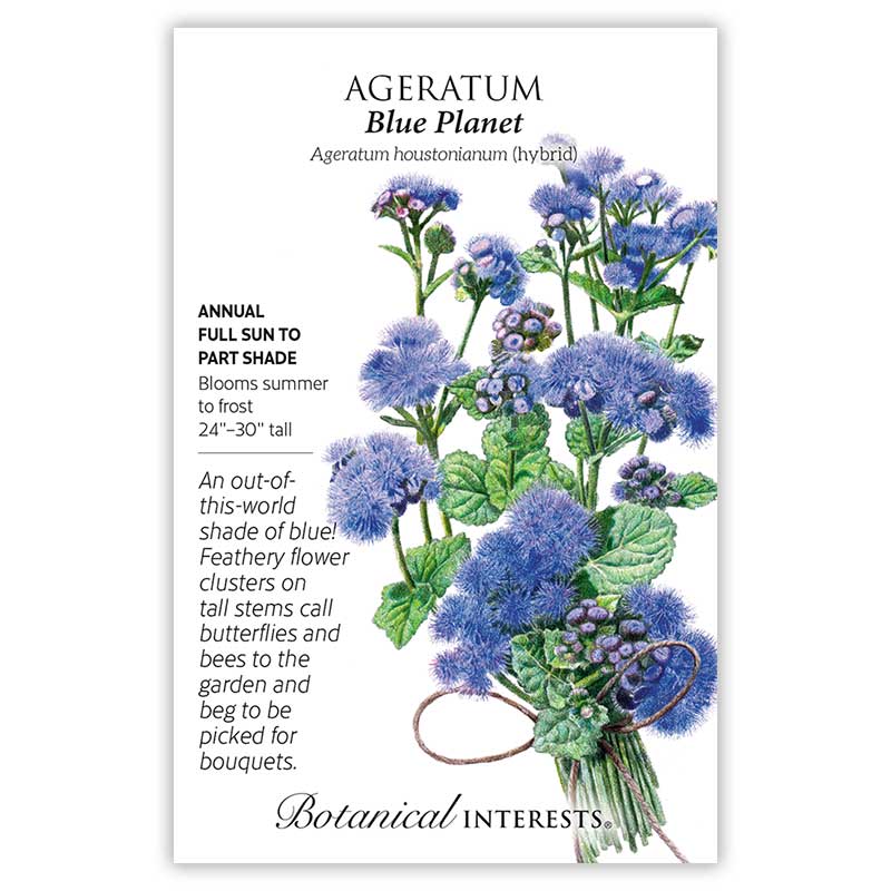 Blue Planet Ageratum  Seeds