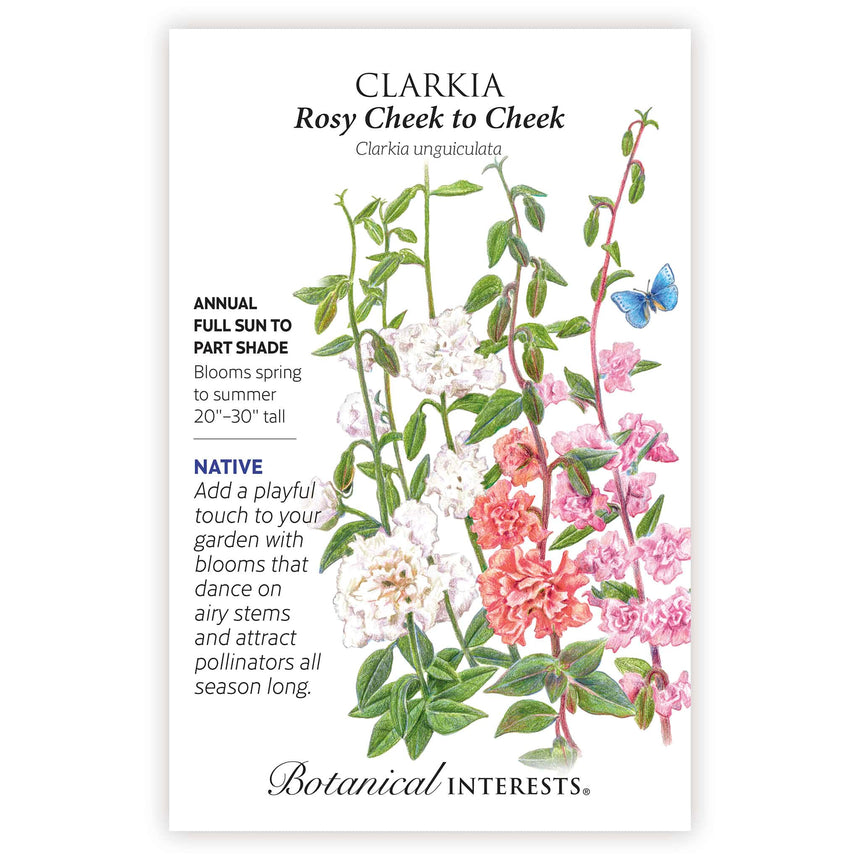 mr cheeks plant a seed Rosy Cheek to Cheek Clarkia Seeds – Botanical Interests