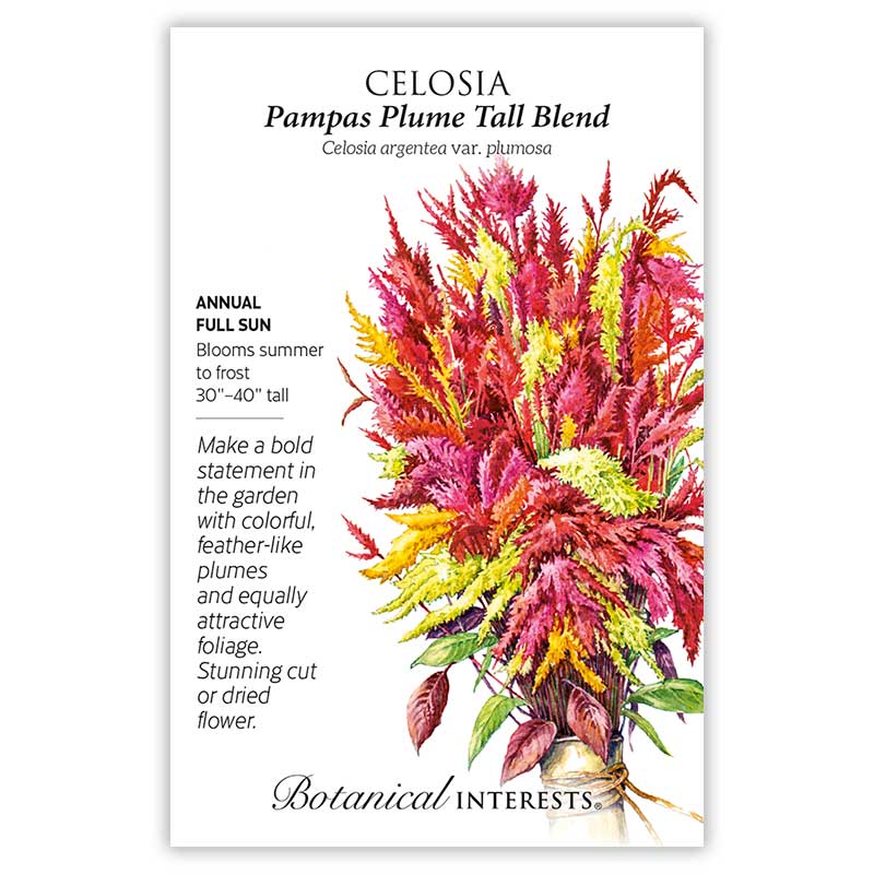 Cut Flower Garden Seed Bundle