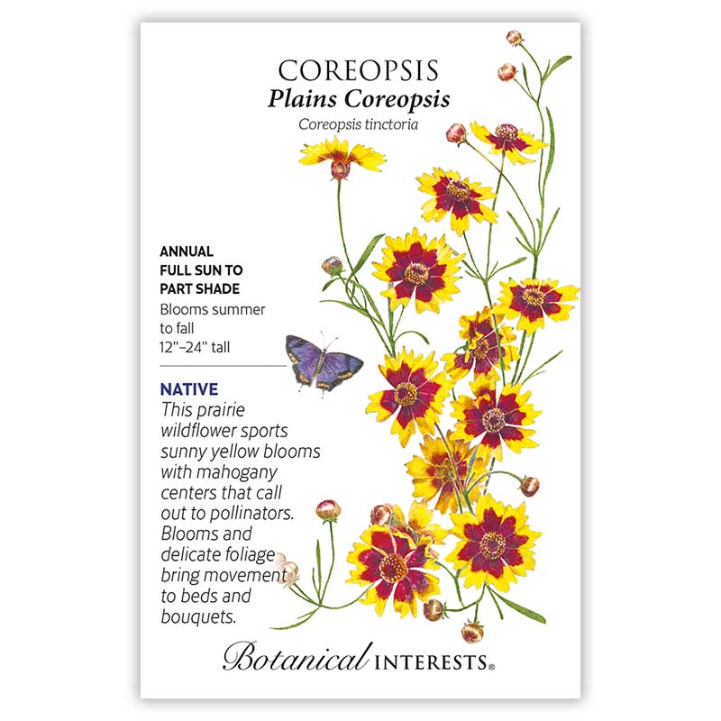 coreopsis flower seeds Plains Coreopsis Seeds – Botanical Interests