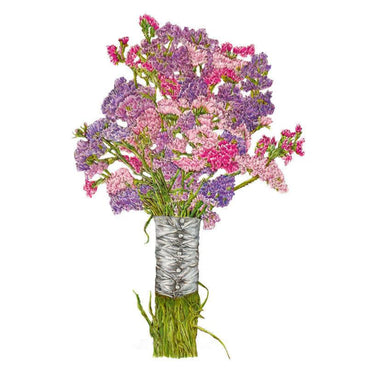 Cotton Candy Blend Statice Seeds – Botanical Interests