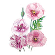 Pandora Poppy Seeds