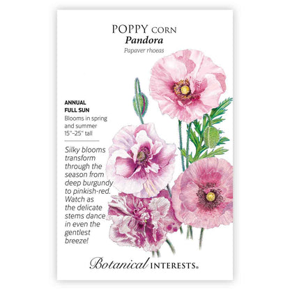 Pandora Poppy Seeds – Botanical Interests