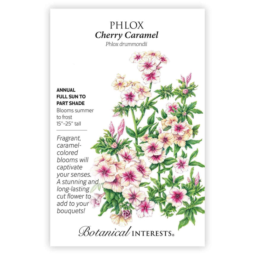 best time to plant phlox seeds Cherry Caramel Phlox Seeds
