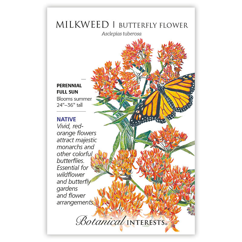 Milkweed/Butterfly Flower Seeds