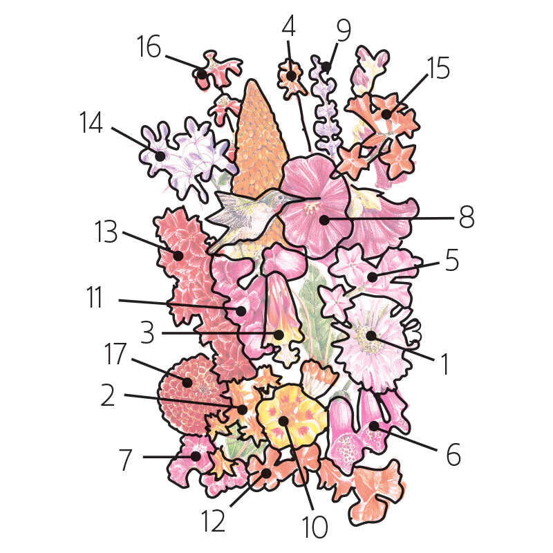hummingbird haven flower mix seeds Hummingbird Haven Flower Mix Seeds