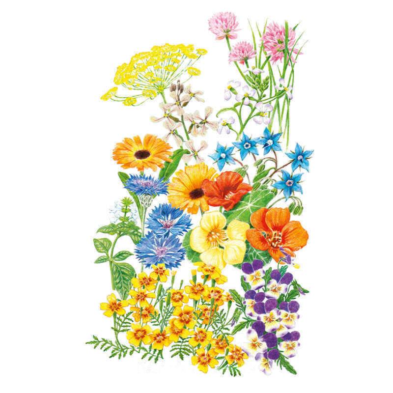 Botanical Interests Edible Beauties Flower Mix Seeds