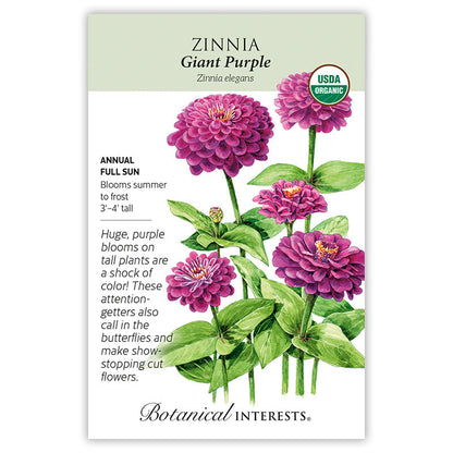 Giant Purple Zinnia Seeds