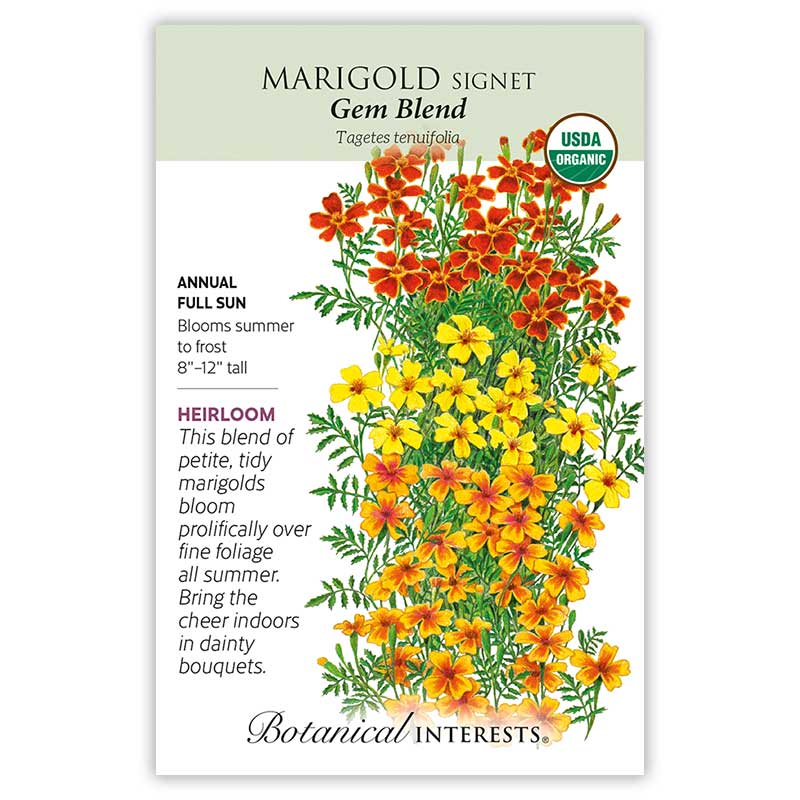 Gem Blend Signet Marigold Seeds