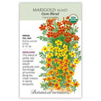 Earth Day Seed Bundle
