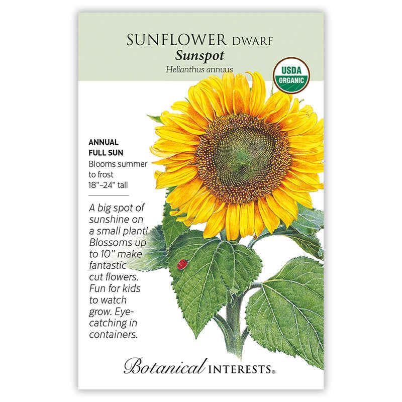 Sunspot Dwarf Sunflower Seeds – Botanical Interests