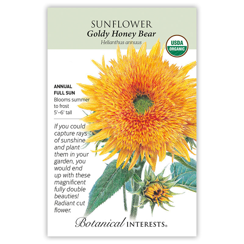 Florist Cutting Flowers Gift Set