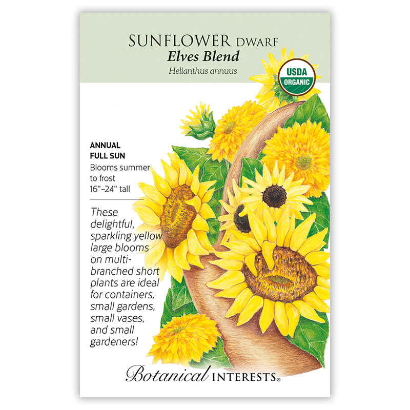 short sunflower seeds to plant Elves Blend Dwarf Sunflower Seeds