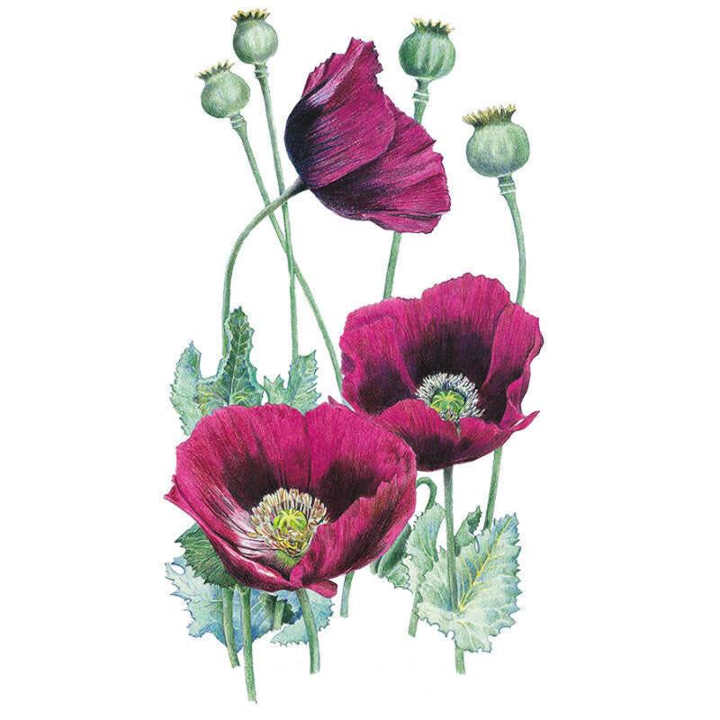 Lauren's Grape Bread Seed Poppy Seeds