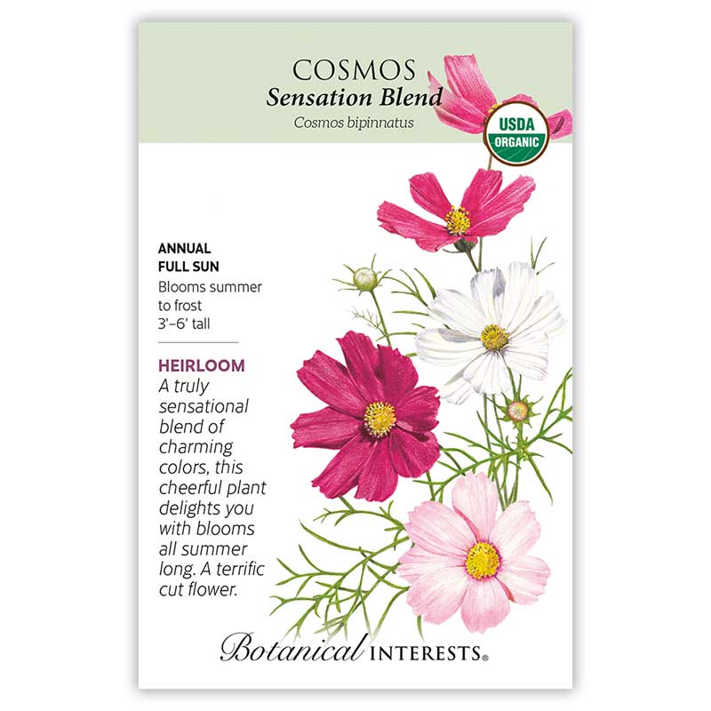 Black Thumb-Proof Flower Garden