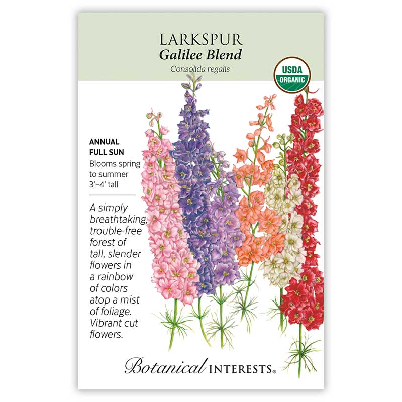 Galilee Blend Larkspur Seeds
