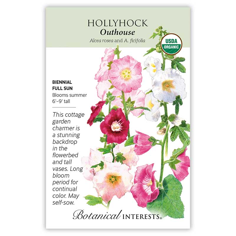 hollyhock seed to flower Outhouse Hollyhock Seeds