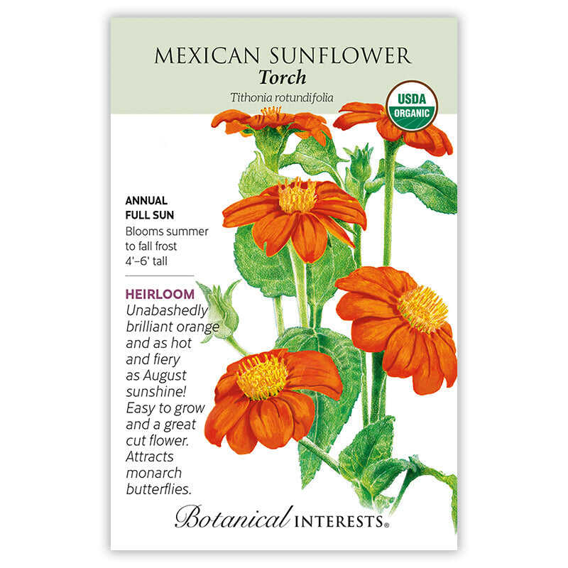 planting tithonia seeds Torch Mexican Sunflower Seeds