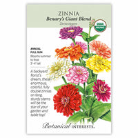 Benary's Giant Blend Zinnia Seeds