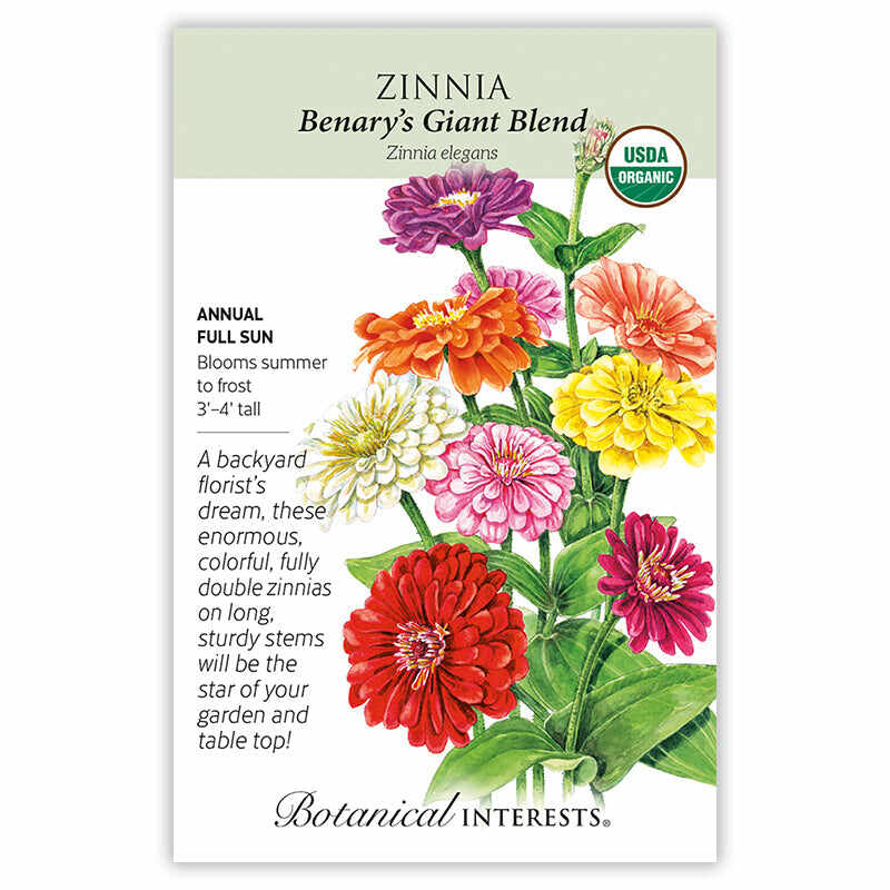 benary flower seeds Benary's Giant Blend Zinnia Seeds – Botanical Interests
