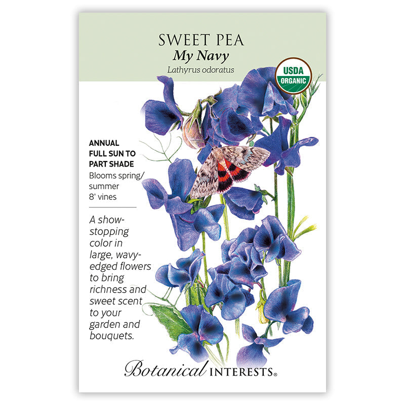 My Navy Sweet Pea Seeds
