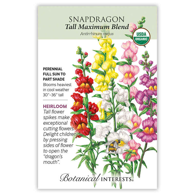 Tall Maximum Blend Snapdragon Seeds – Botanical Interests