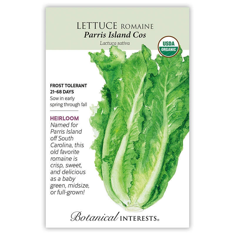 Parris Island Cos Romaine Lettuce Seeds