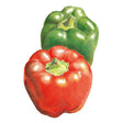 California Wonder Sweet Pepper Seeds