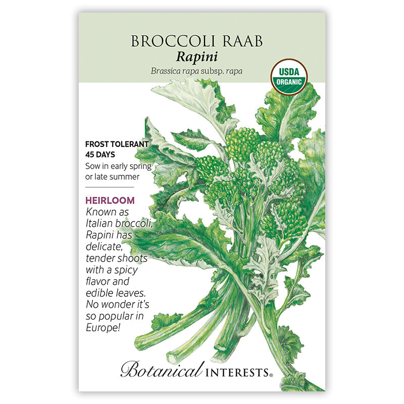 Rapini Broccoli Raab Seeds