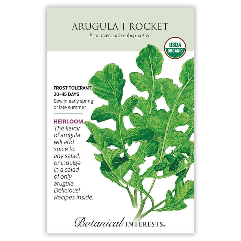 rocket plant seeds Arugula/Rocket Seeds