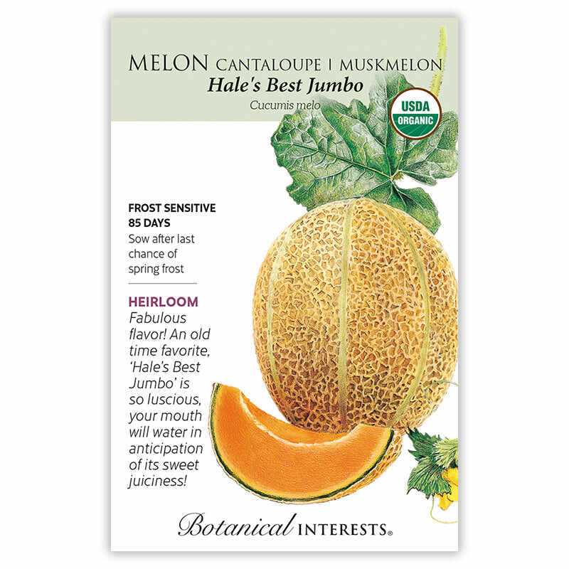 best time to plant cantaloupe seeds Hale's Best Jumbo Cantaloupe/Muskmelon Melon Seeds – Botanical Interests